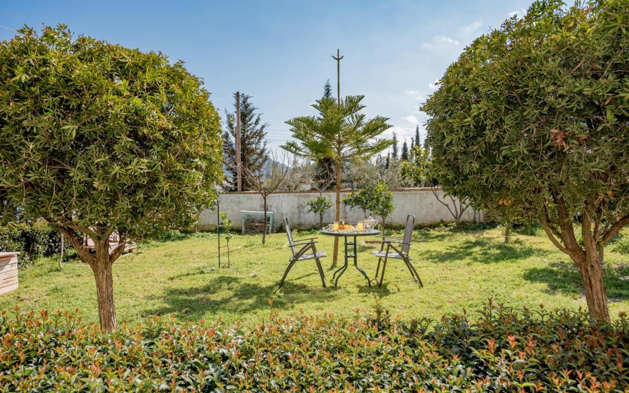 Eleni'S Cozy Apartment In Tsilivi Gaitani Dış mekan fotoğraf
